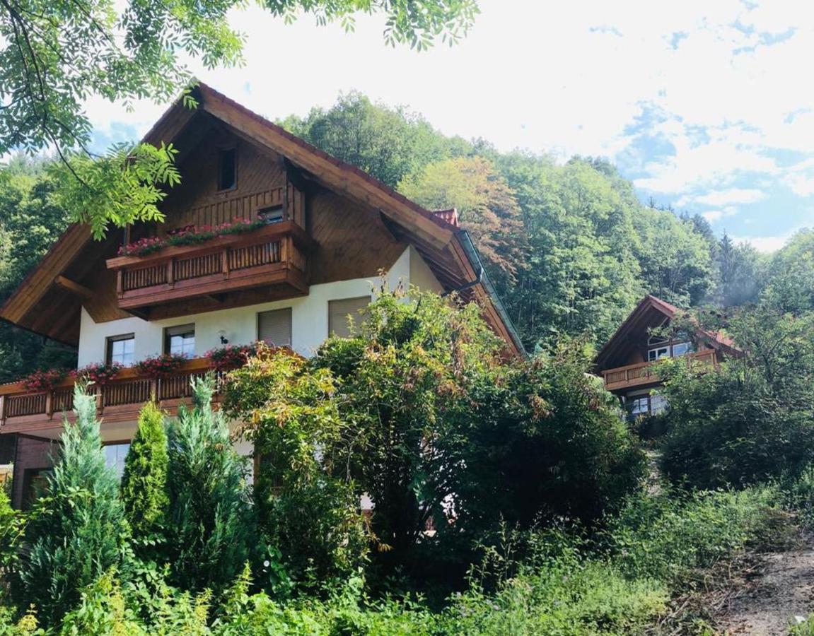 Haus Sigmund Apartment