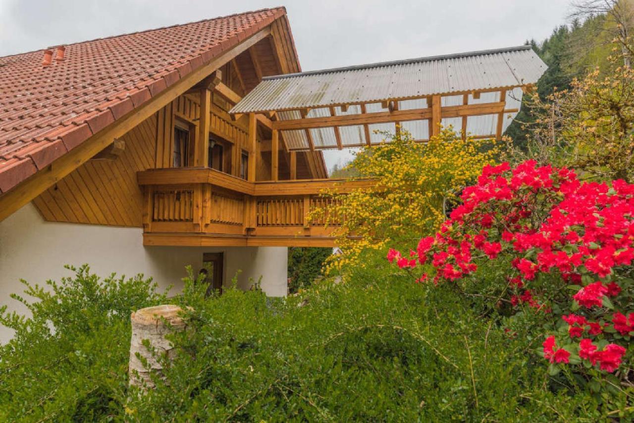 Apartment Haus Sigmund Oberharmersbach